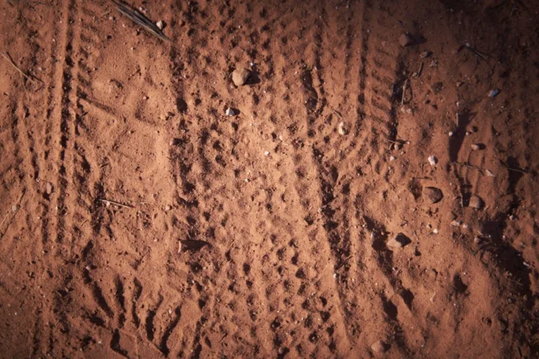 Reddish soil on a road where bicycle and motorcycle tracks can be seen