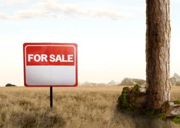 Insécurité foncière à Jacmel : le notaire Donald Mardy en révèle les causes