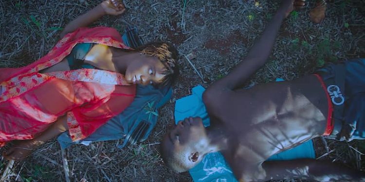 Ombres Spirales : ce film-poème de Wood-Jerry Gabriel tient son avant-première à Jacmel